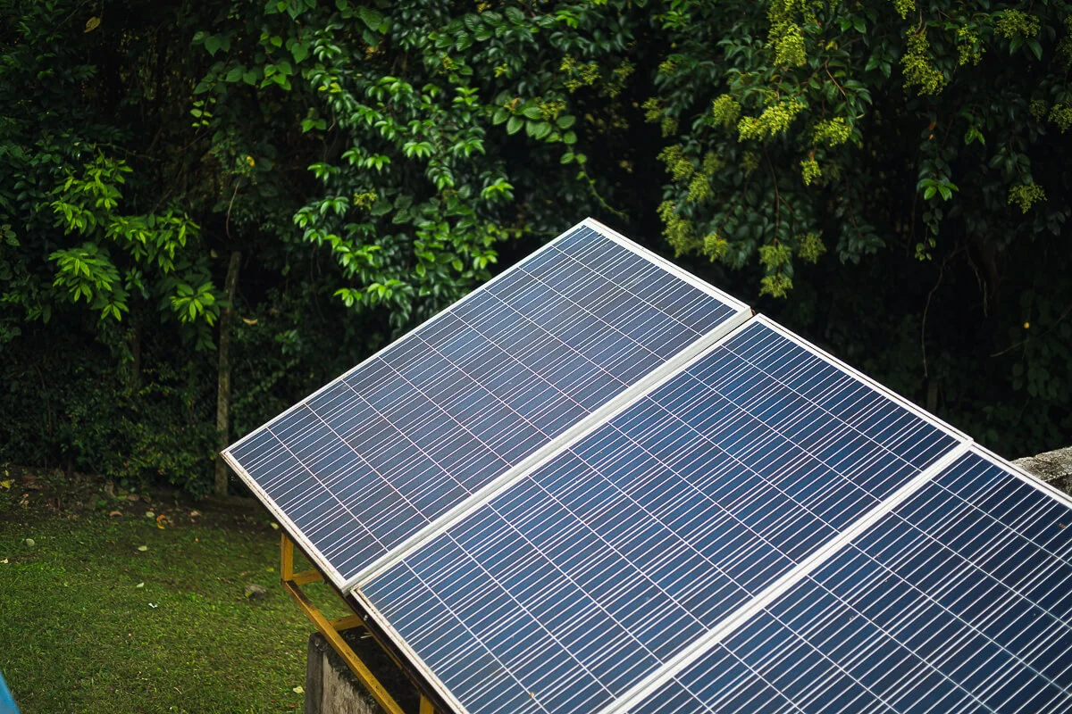 FOTO-PDI-CISEI_DSC08904_tiny